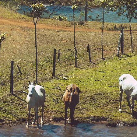 فندق Termales Del Bosque & Hot Springs La Marina المظهر الخارجي الصورة