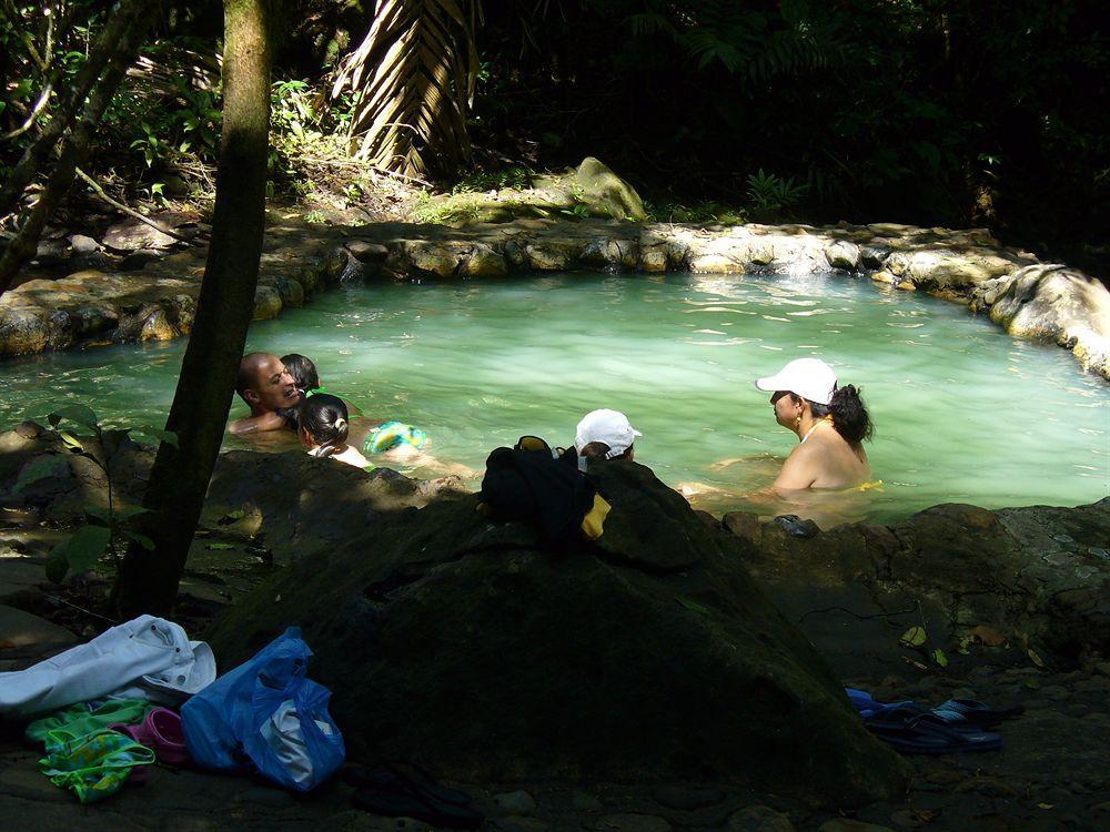 فندق Termales Del Bosque & Hot Springs La Marina المظهر الخارجي الصورة