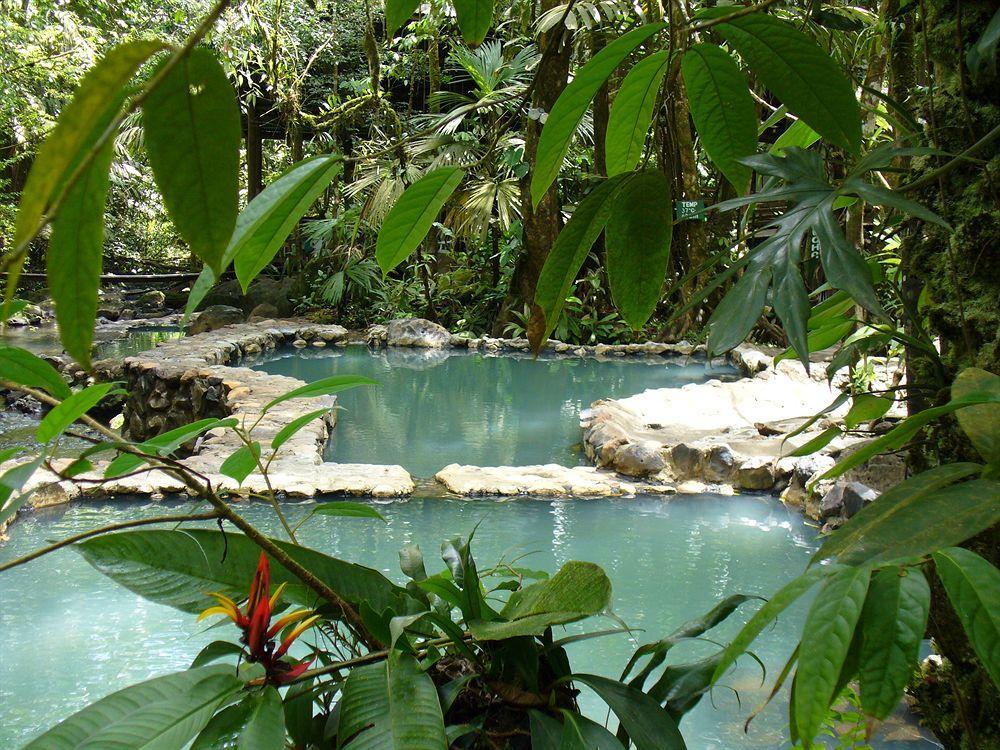 فندق Termales Del Bosque & Hot Springs La Marina المظهر الخارجي الصورة