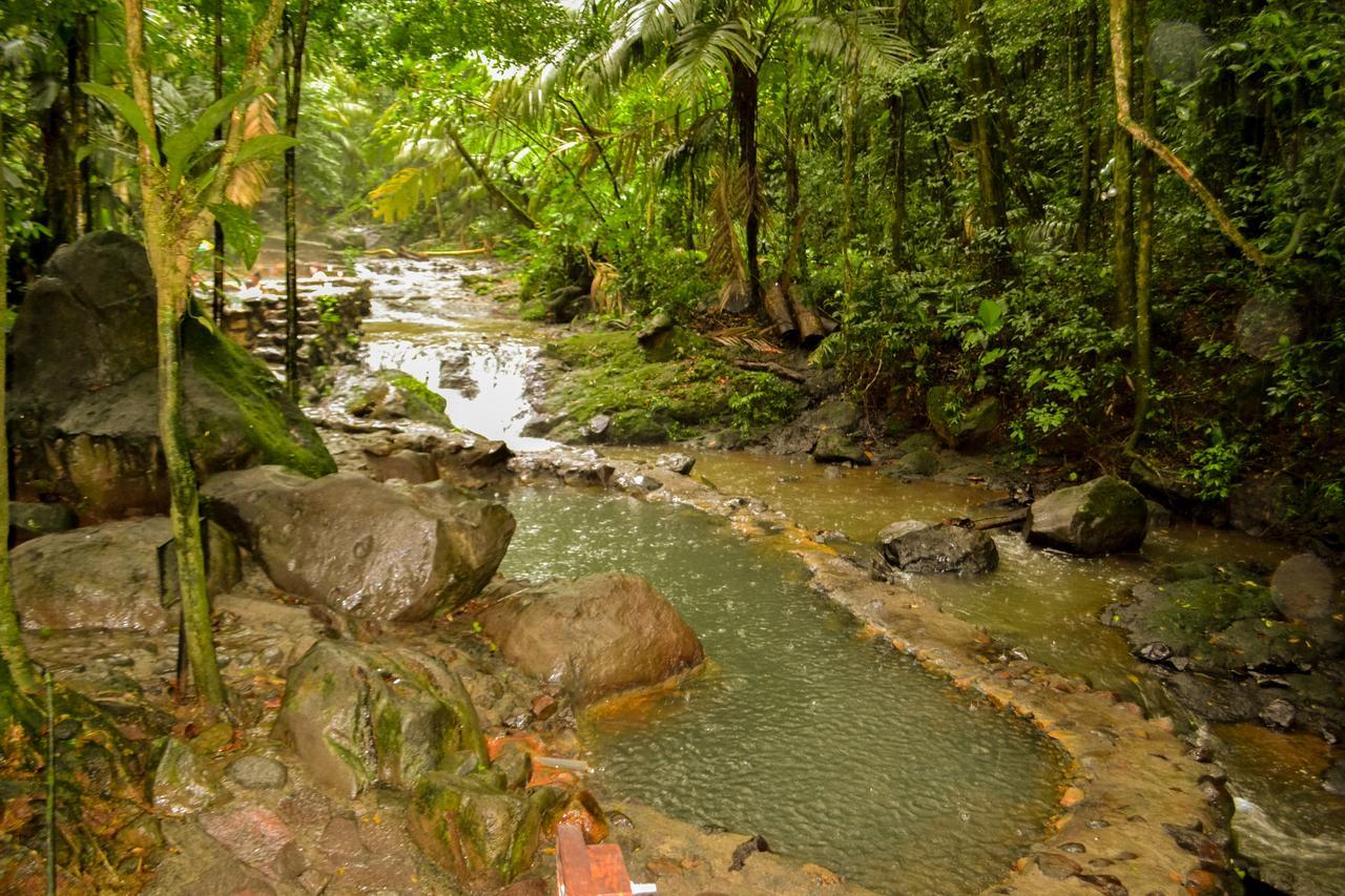 فندق Termales Del Bosque & Hot Springs La Marina المظهر الخارجي الصورة