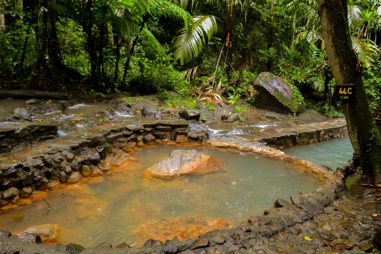 فندق Termales Del Bosque & Hot Springs La Marina المظهر الخارجي الصورة