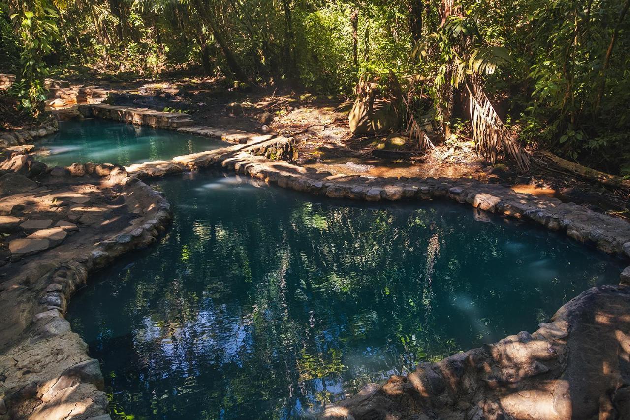فندق Termales Del Bosque & Hot Springs La Marina المظهر الخارجي الصورة