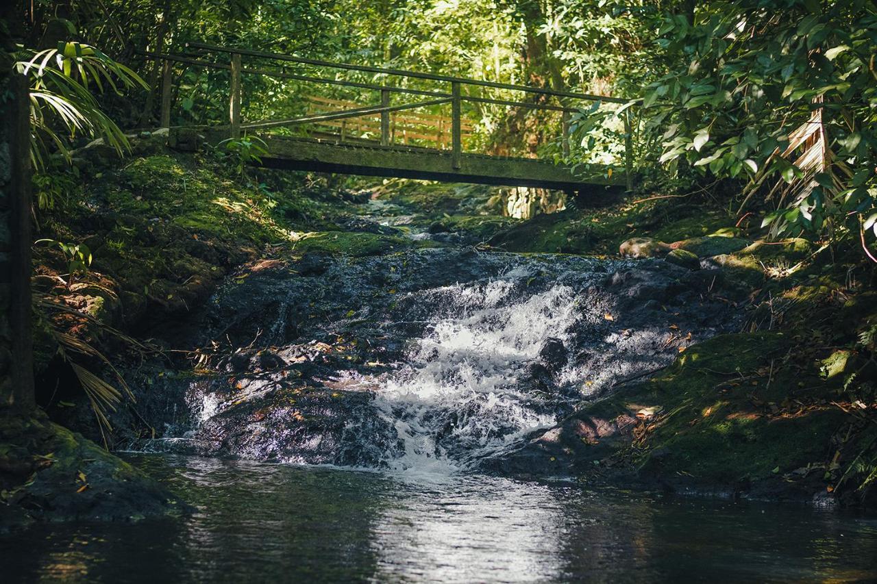 فندق Termales Del Bosque & Hot Springs La Marina المظهر الخارجي الصورة