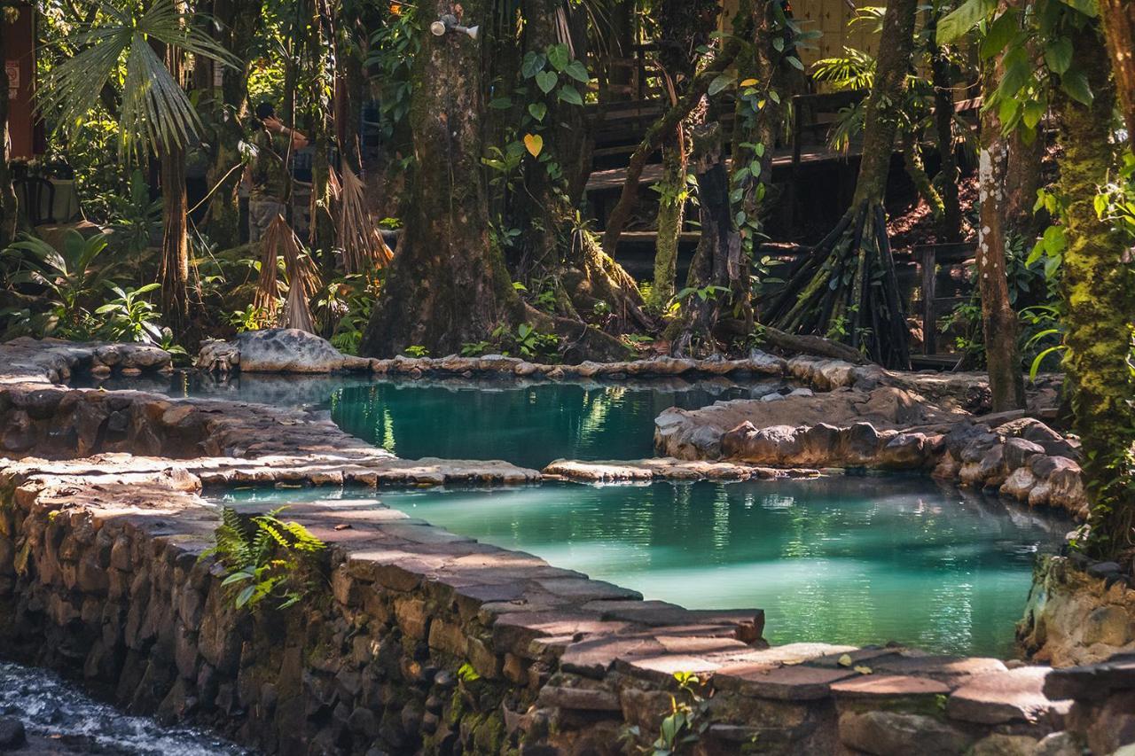 فندق Termales Del Bosque & Hot Springs La Marina المظهر الخارجي الصورة